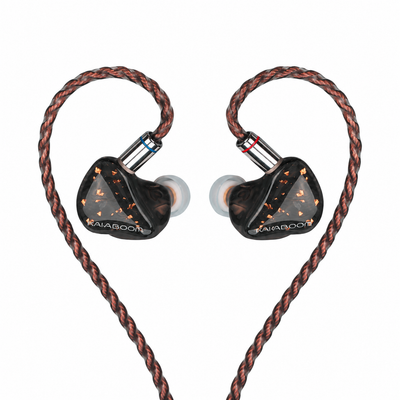 In-Ear Monitor Headphone KIE610